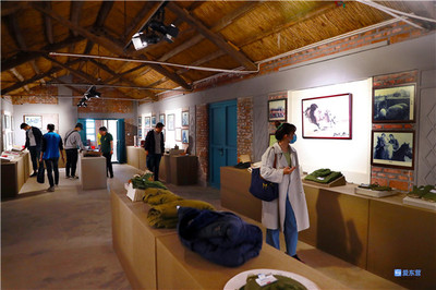 東營·來自重點工程項目一線的報道 | 黃河口生態旅游區 擦亮“黃河入海、我們回家”品牌，展覽服務助力生態文旅升級